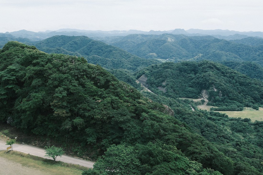 千叶：层层叠叠的绿色山峦